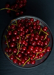 Red currant on black background