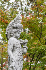 Fototapeta premium 京都の紅葉