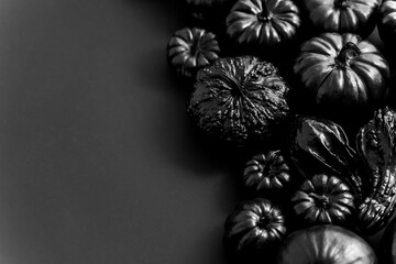Various kinds cute mini pumpkins in black colour placed black background with copy space