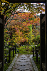 京都の秋