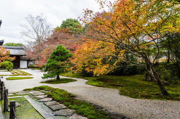 京都の秋