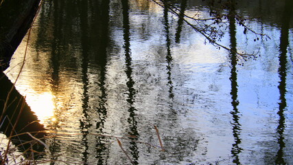 Spiegelung