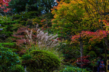 京都の秋