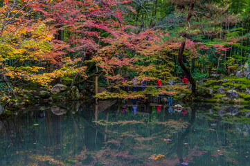 京都の秋