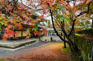 京都の秋