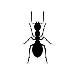 Best Black Ant Icons Vector On White Background. fits All vector flat icons related Insect isolated, or ant illustration. Simple illustration of Farmer ant vector icon for web design isolated.