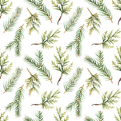 Fototapeta premium Watercolor pattern with evergreen branches of spruce and thuja. For eco green design or christmas decor