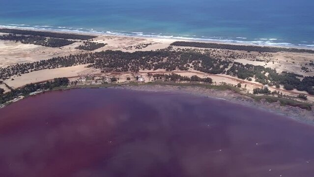 Aerial footage of the shore of dark pink lake near the ocean, sandy patch with trees between them, Retba lake, Dakar, Senegal, panning along the ocean.