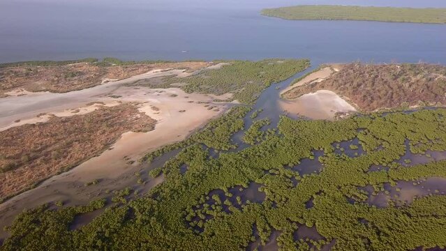 Aerial footage of Saloum river delta fringed with mangroves, sandy patches covered in salt and islands with tropical trees, Palmarin, Senegal, facing down at river and panning along.