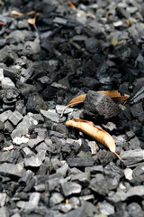 selective focus of pile of dried wood charcoal 