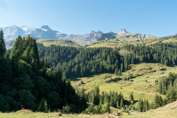 Fototapeta na wymiar Via alpina trail switzerland. Morning view on Bernese range. Popular tourist attraction. Location place Swiss alps, Grindelwald valley, Europe.