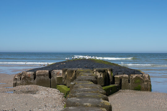 Bune in der Nordsee