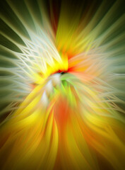 Absract colored flower - illustration