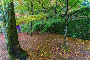 大阪府岸和田大威徳寺の秋風景
