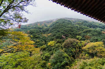 Fototapeta na wymiar 大阪府岸和田大威徳寺の秋風景
