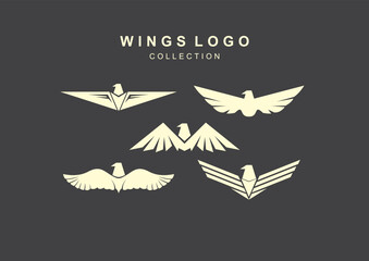 wings logo collecttion vector