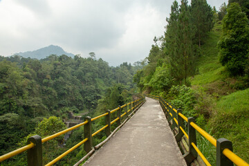 A bridge with trees and hill