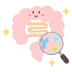 手描きの腸と拡大鏡で見るビフィズス乳酸菌