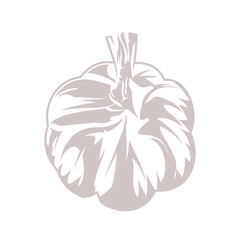 A Garlic illustration shown from above in an angle