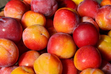 organic peaches on the market