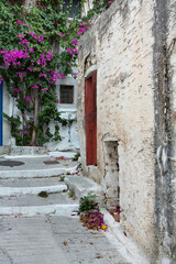 Narrow and colorful street in the village of Kritsa in the island of Crete. White street, beautiful traditional housing in Greece. 