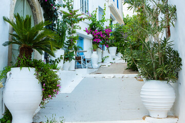 Narrow and colorful street in the village of Kritsa in the island of Crete. White street, beautiful traditional housing in Greece. 