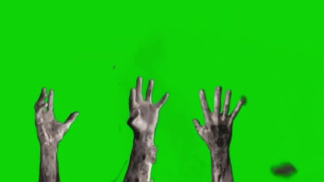 Zombie Hands On Green Screen