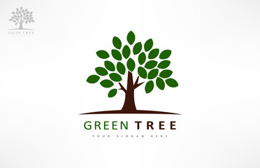Obraz premium Tree logo vector. Plant Logo design vector nature illustration.
