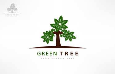 Tree logo vector. Plant Logo design vector nature illustration.