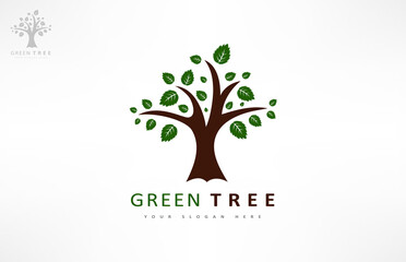 Fototapeta na wymiar Tree logo vector. Plant Logo design vector nature illustration.