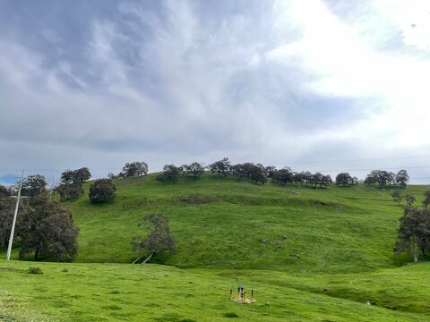 Hill