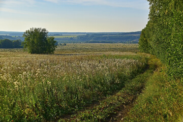 View from the top of Mount Kharin Mys to the valleys of the Sylva and Shakva rivers.