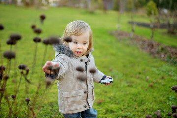 Funny toddler boy having fun outdoors on chilly autumn day. Child exploring nature. Autumn activities for kids.