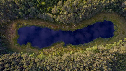 lake in the forest with swamp on the edges