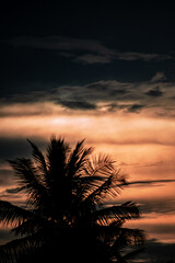 sunset in the desert