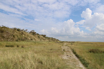 Obraz premium Hiking path to the Kalfamer | East Frisian Island Juist