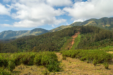 Towering mountains, sprawling tea gardens, rivers, nature's gift of greenery everywhere is the way one can explain the beauty of Ooty.