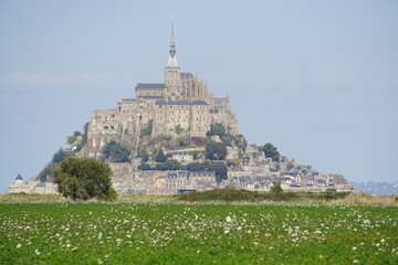 Obraz premium panoramic view of mt st michel brittany france from the blooming white field