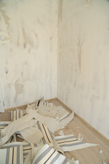 Fototapeta na wymiar Apartment renovation. Peeling off old room wallpaper