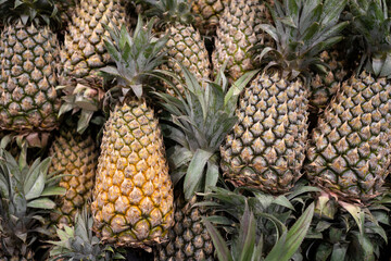 Freshness pineapple arrange neatly on the fruit stall in supermarket