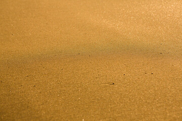 Fototapeta na wymiar Background with golden sand on the coast of the island of Crete. Abstract surface with sand and clear sea water for text.