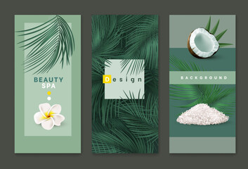 Bamboo coconut leaf background, spa poster and flyer. Salon voucher or brochure, logo and copy space, summer vertical banner template. Cosmetic advertising. 3d Isolated elements. Vector design