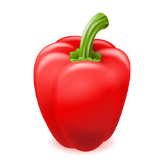 Capsicum paprika pepper illustration in 3D style
