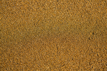 Background with golden sand on the coast of the island of Crete. Abstract surface with sand and clear sea water for text.