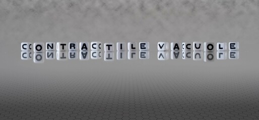 contractile vacuole word or concept represented by black and white letter cubes on a grey horizon...