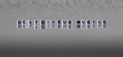 deltoideus muscle word or concept represented by black and white letter cubes on a grey horizon...