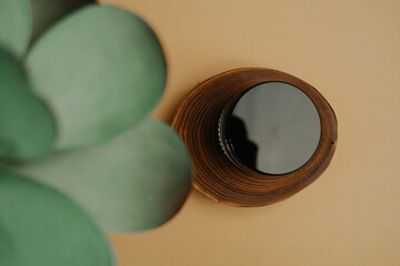 Bird eye view of container and plant leaf, collection