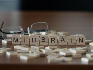 midbrain word or concept represented by wooden letter tiles on a wooden table with glasses and a...