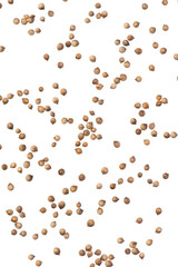 Macro photo of coriander seeds on a white isolated background.