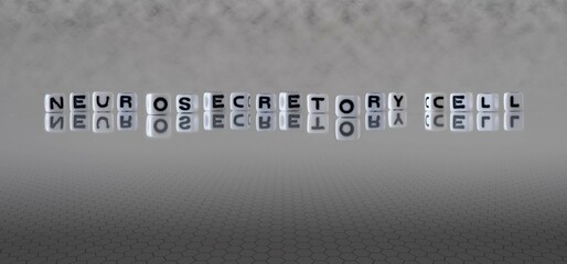 neurosecretory cell word or concept represented by black and white letter cubes on a grey horizon background stretching to infinity